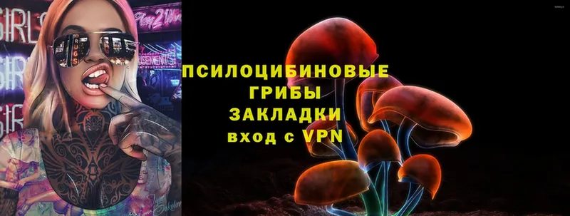 Псилоцибиновые грибы Cubensis  Багратионовск 